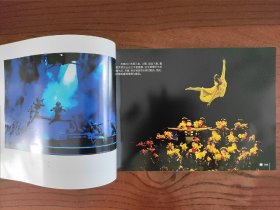 舞台艺术摄影技巧漫谈【一版一印】