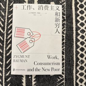 工作、消费主义和新穷人