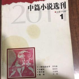 中篇小说选刊178