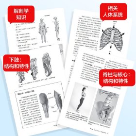 基于解剖学与生物力学的瑜伽体式精解