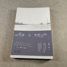 在流浪与乡愁之间