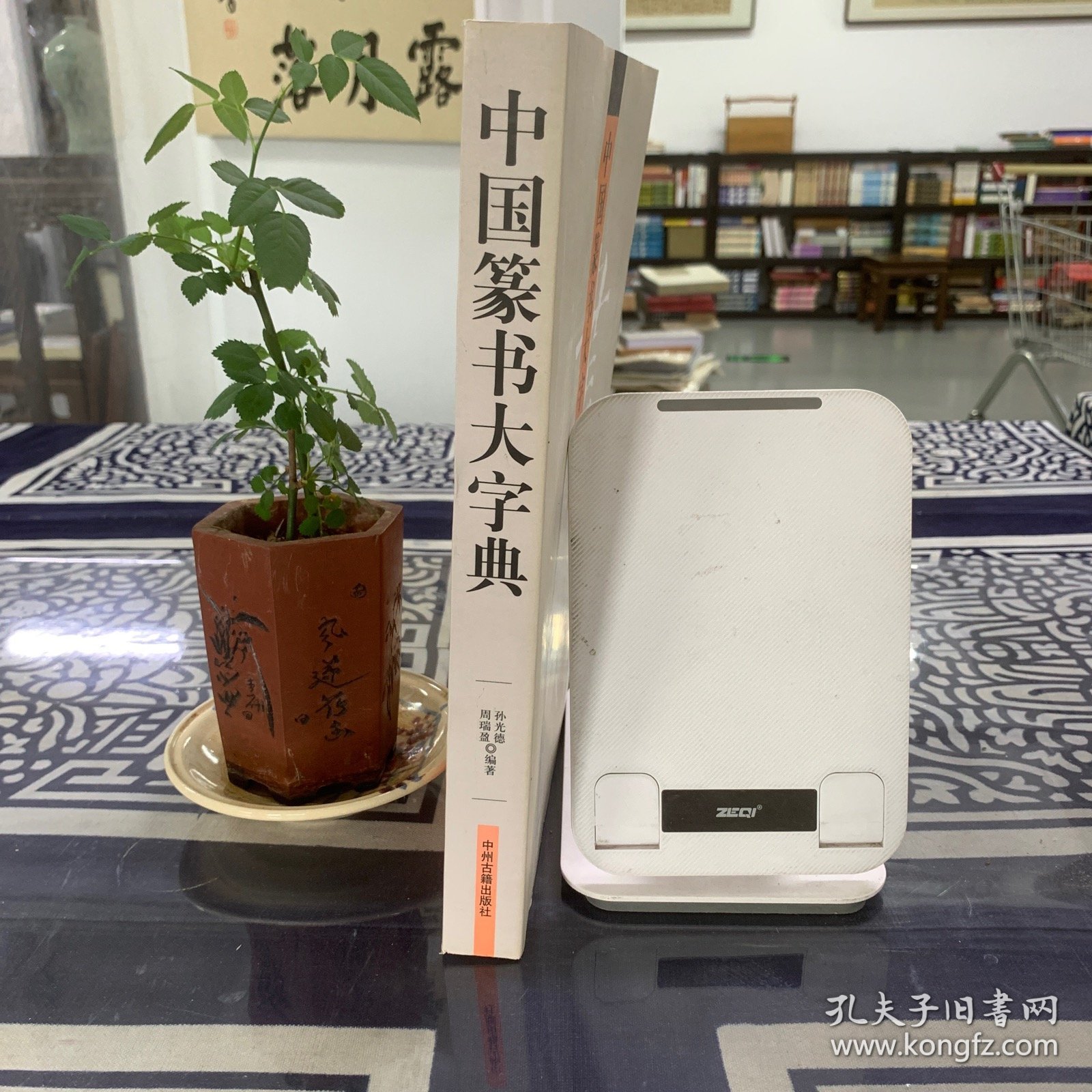 中国书画大系：中国篆书大字典