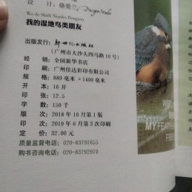 自然观察: 我的湿地鸟类朋友