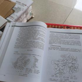 中国喀斯特石林景观研究（作者陈安泽签名本  精装如图3-7