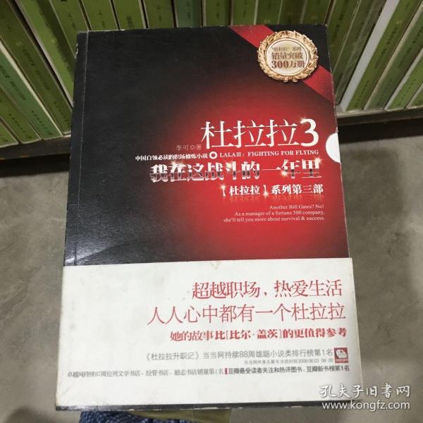 杜拉拉3：我在这战斗的一年里