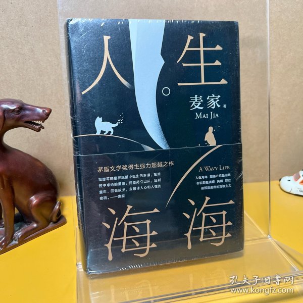 麦家：人生海海（茅盾文学奖得主麦家2019年强力之作）