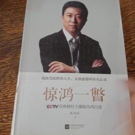 惊鸿一瞥：CCTV首席财经主播陈伟鸿自述