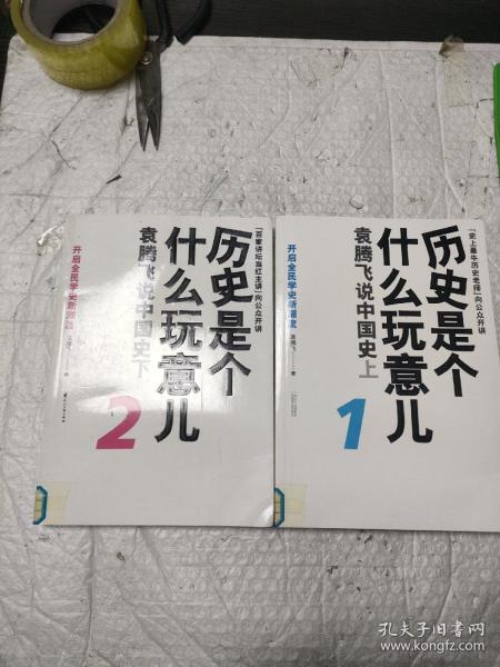 历史是个什么玩意儿2：袁腾飞说中国史下