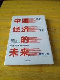 中国经济的未来：热点、难点和增长点