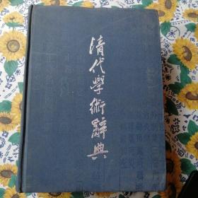 清代学术辞典（图如书，有破损，内容完整）