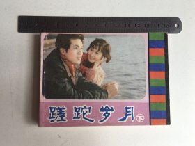 连环画：蹉跎岁月(下)
