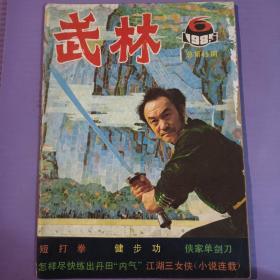 武林 1985年6期