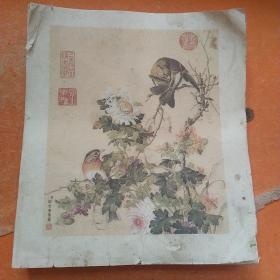 郎世宁恭画 （共117张）见图