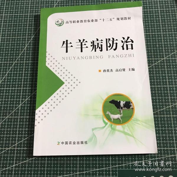 牛羊病防治