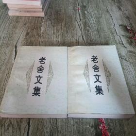 《老舍文集》中下   两本