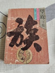 望族（下集）