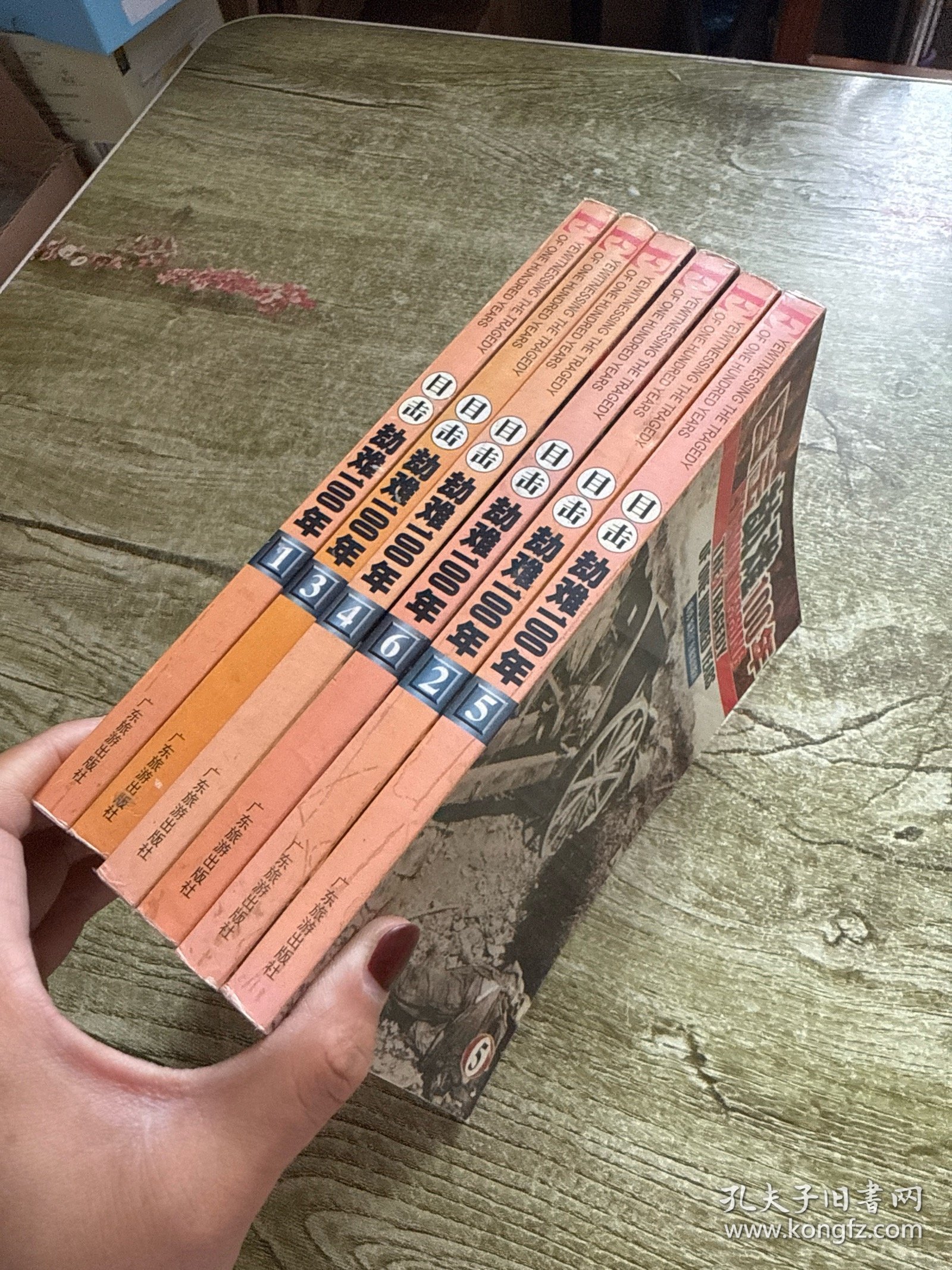 目击劫难100年（全六册）