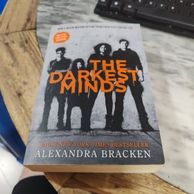 The darkest minds 最黑暗的頭腦 英文小說 插圖