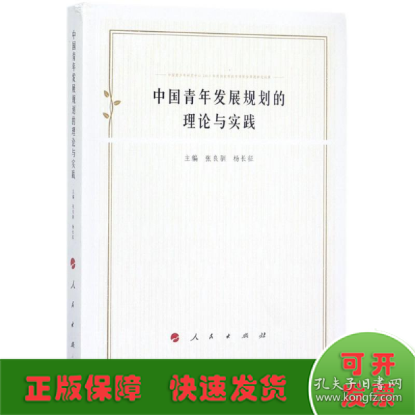 中国青年发展规划的理论与实践