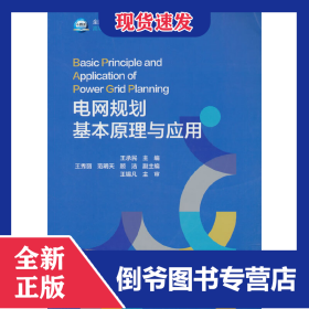 電網(wǎng)規(guī)劃基本原理與應(yīng)用 9787519862404