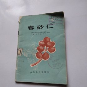 春砂仁