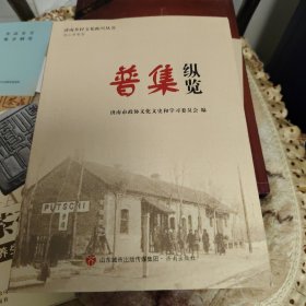 济南乡村文化振兴丛书（高庄纵览，普集纵览，村庄纵览共三册合售）