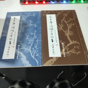 毛主席诗词三十四首(仿宋字体 行草字体)两本