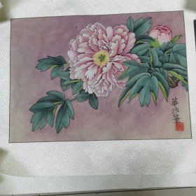 潘华沙