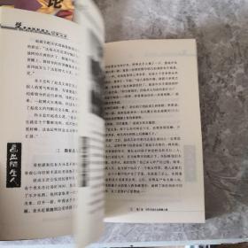 画出陌生人：学者神探赵成文破案实录