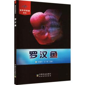 羅漢魚