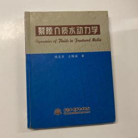 裂隙介质水动力学