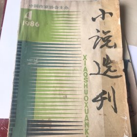 小说选刊