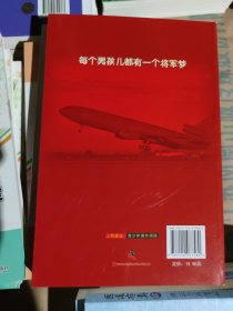 王牌空军战斗手册：战役