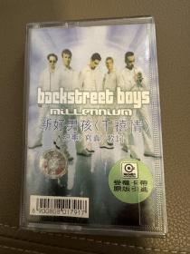 Backstreet boys millennium 专辑卡带 新好男孩 千禧情