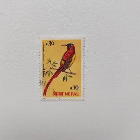 外国邮票 尼泊尔邮票1979年鸟类 面值10 信销1枚 如图