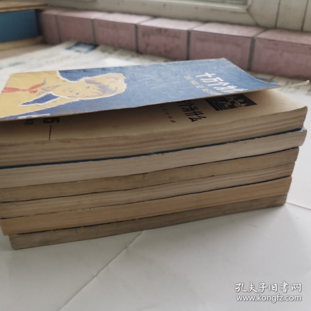 《十万个为什么》兰皮151617192021六册