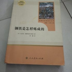 统编语文教材配套阅读 八年级下：钢铁是怎样炼成的/名著阅读课程化丛书