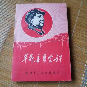 革命委员会好