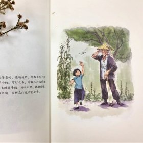 呼兰河传(手绘插图本) 萧红 正版图书