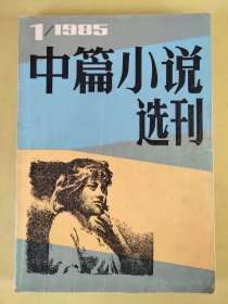 中篇小说选刊(双月刊)