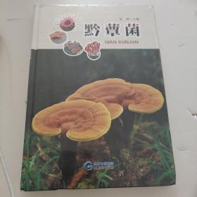 黔蕈菌