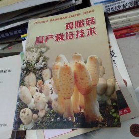 鸡腿菇高产栽培技术