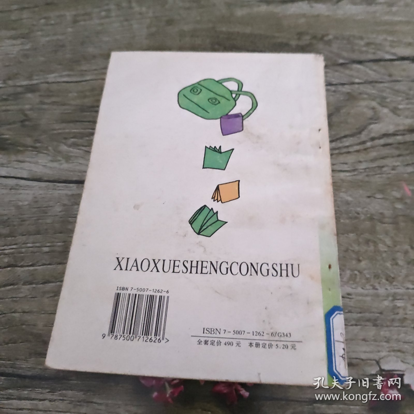 小学生丛书.火炬在燃烧