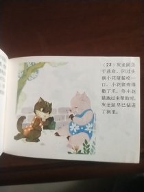 小花猪学艺（库存书）