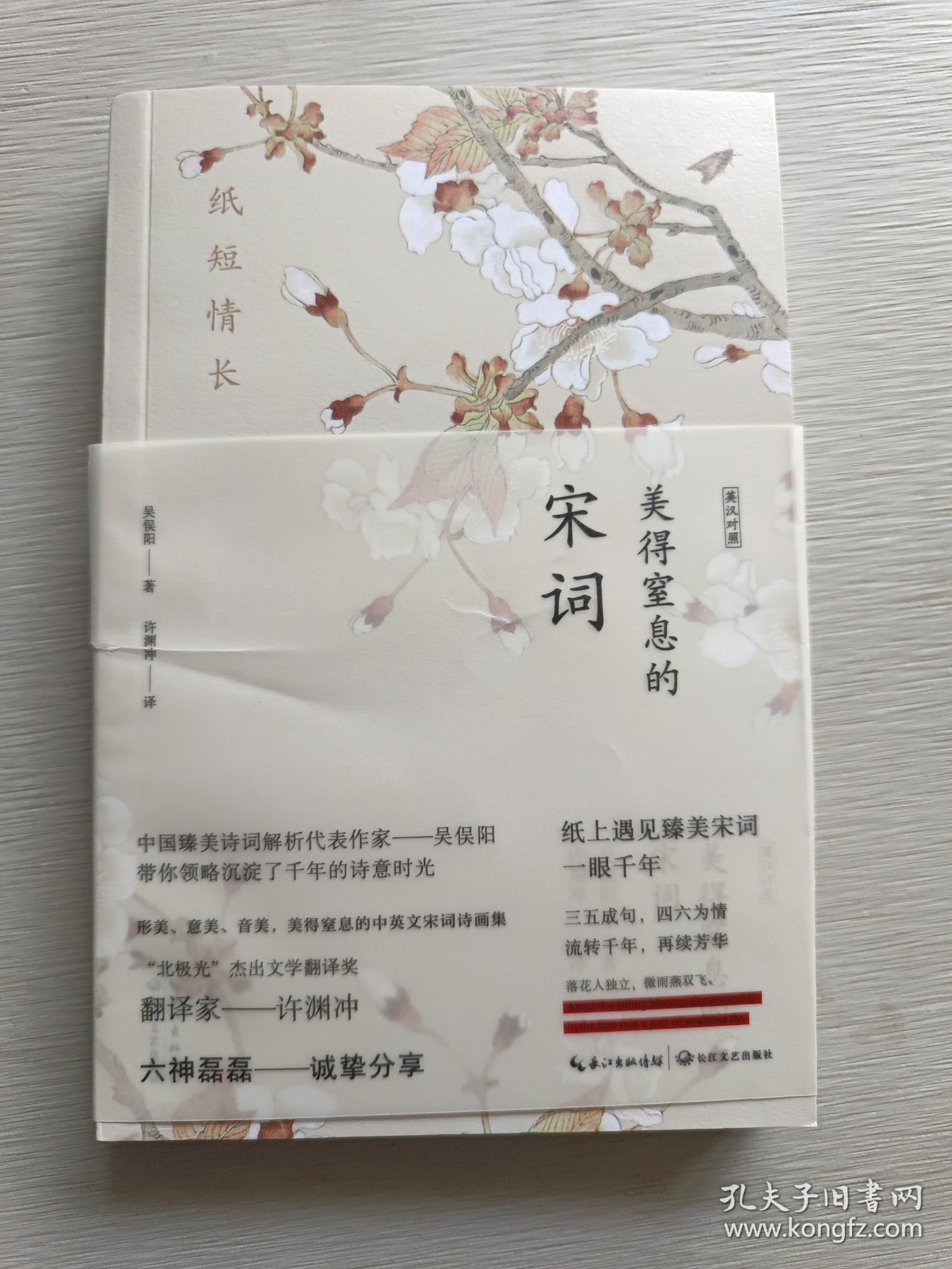 纸短情长：美得窒息的宋词