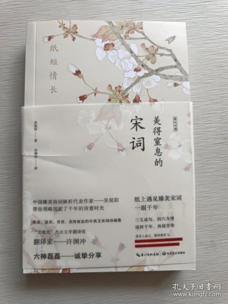 纸短情长：美得窒息的宋词