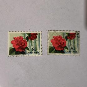邮票：T37（10--2）信销票  2枚合售