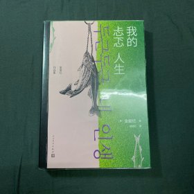 我的忐忑人生（金爱烂作品集）