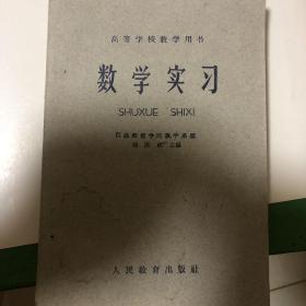 高等学校教学用书：数学实习