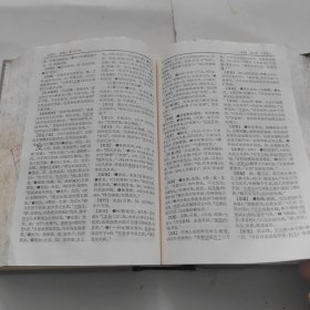 辞海